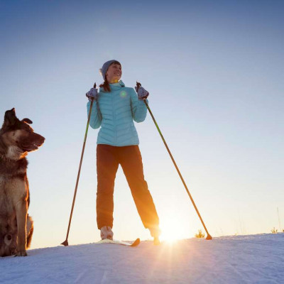 Teaser zu Skiurlaub mit Hund – so gelingt´s!