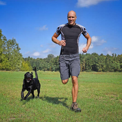 Teaser zu Sport mit Hund in Sachsen
