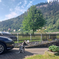 Vorschaubild zu 