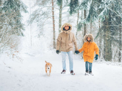 Hund und Familie im Winterwald. Urlaub mit Hund im Winter. Ein Hundurlaub mit der Familie