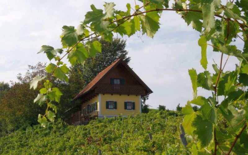 Ferienhaus in den Bergen für den Hundeurlaub mit Weitblick