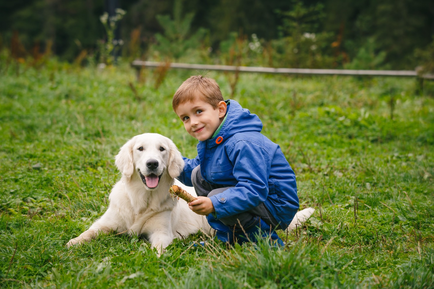 Bergpfoten Reiseführer Thüringen mit Hund